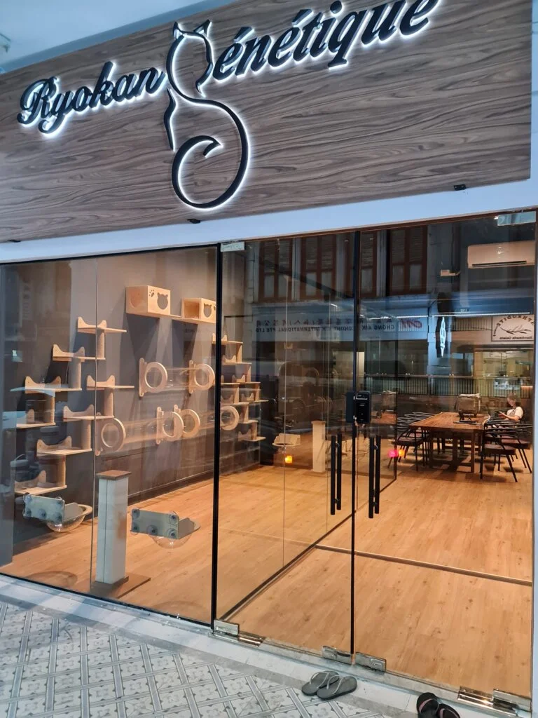 24 hour cat hotel Singapore