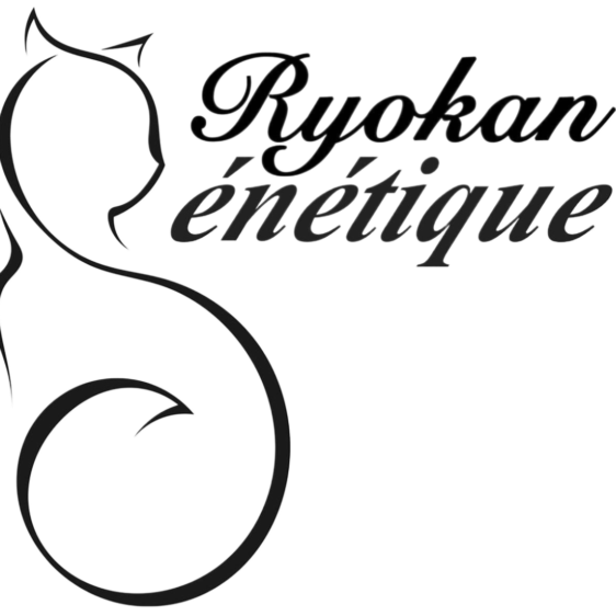 villa-suite-ryokan-genetique-cat-boarding-hotel