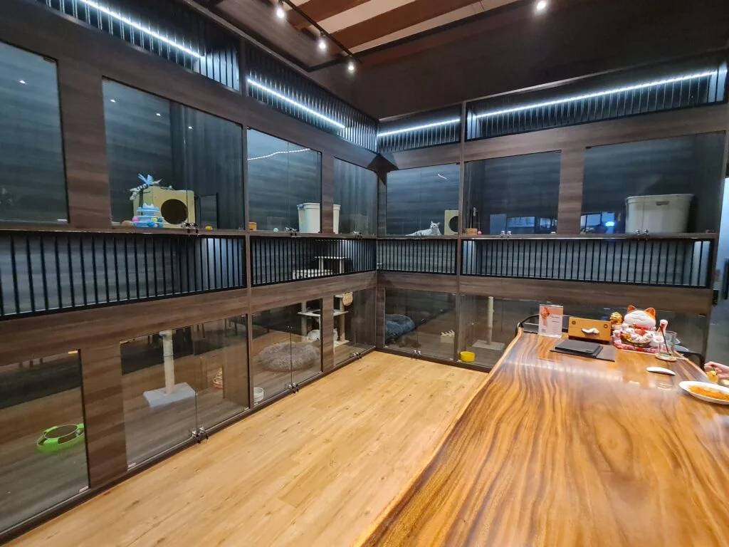 Ryokan Genetique Hotel Cat Boarding Premium Suite