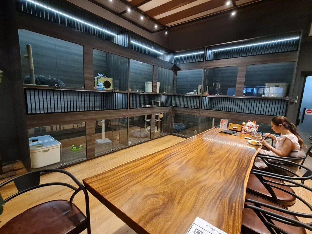 Cat Hotel in Singapore